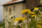 5 Reasons to Visit Val Gardena