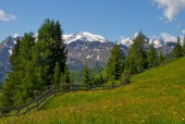 Hiking around Alpe di Suisi – 6 Days