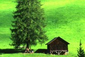 The Ladin Legends of the Dolomites
