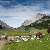 Dolomites Panoramas
