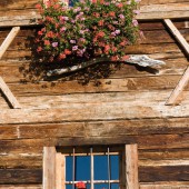 Ladin House Dolomites Ladin House Dolomites