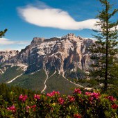 Mountain Chic Honeymoon