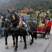 Saint Leonhard Horse Parade