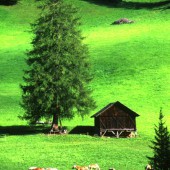Green pastures of the Dolomites