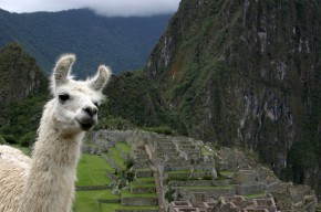 LLama Expeditions