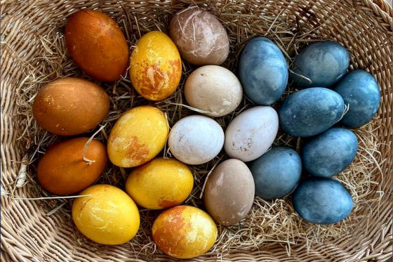 Naturally dyed Easter eggs in the Dolomite Mountains, Italy.