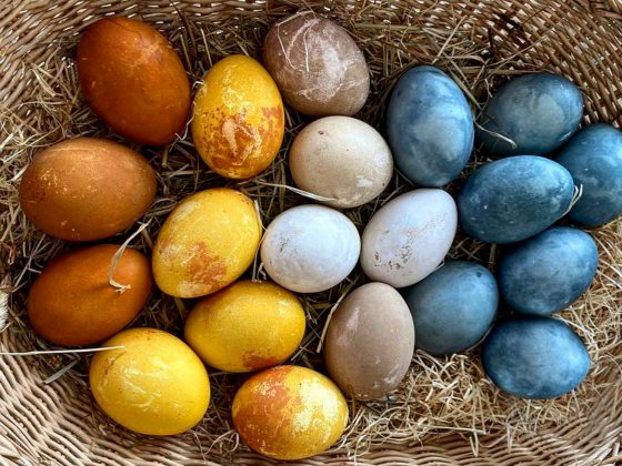 Naturally dyed Easter eggs in the Dolomite Mountains, Italy.