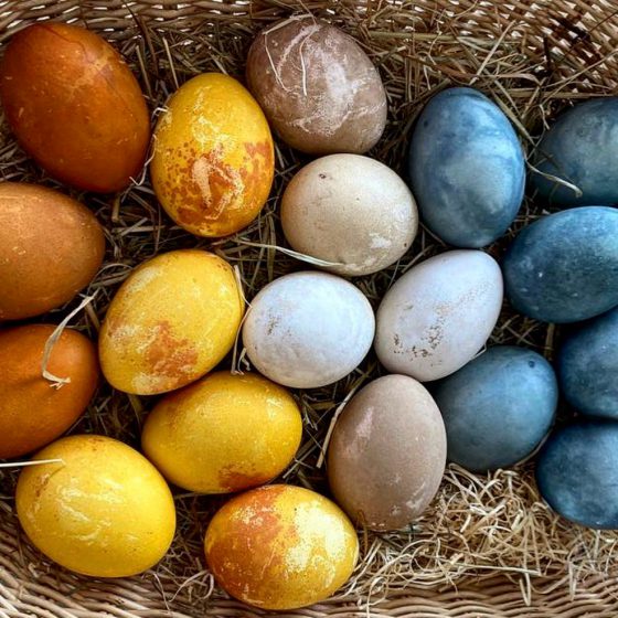 Naturally dyed Easter eggs in the Dolomite Mountains, Italy.