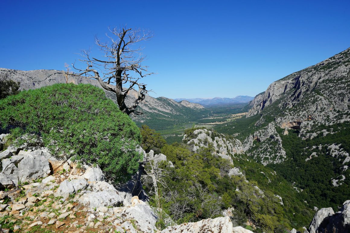 Sardinia